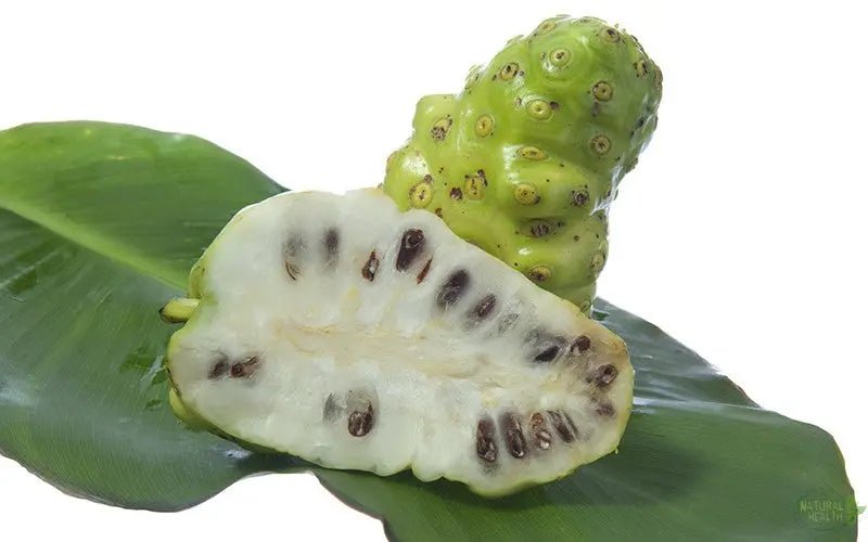 Noni Fruit Superfood - The Natural Health Market