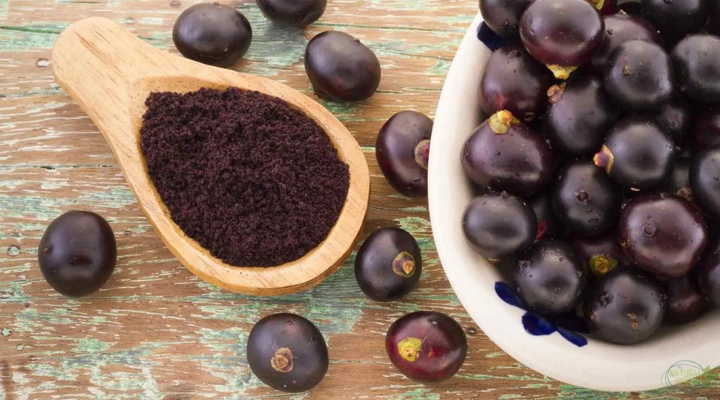 4 Astounding Reasons To Add Acai Berries Into Your Lifestyle - The Natural Health Market