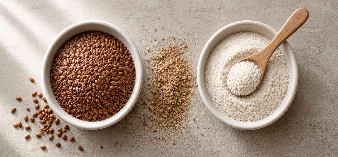 Two white ceramic bowls on a stone surface: organic bronze flaxseeds on the left with seeds scattered between them, and fine psyllium husk powder on the right with a wooden spoon resting across the bowl.