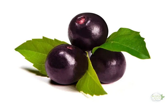 Intermittent Fasting; Is It A Sustainable Diet Plan? - The Natural Health Market