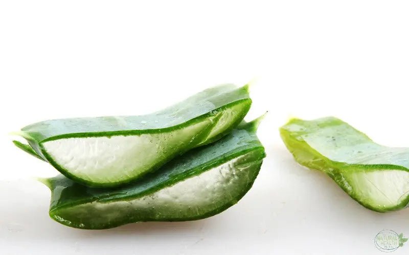 The Benefits of Aloe Vera Juice - The Natural Health Market