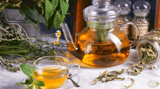 The Perfect Cup of Loose Leaf Tea - The Natural Health Market