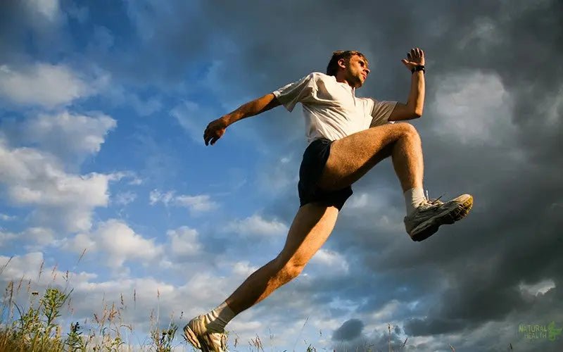 Chia Seeds For Sports Nutrition - The Natural Health Market