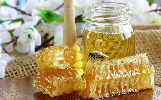Honey Bees Facts - The Natural Health Market