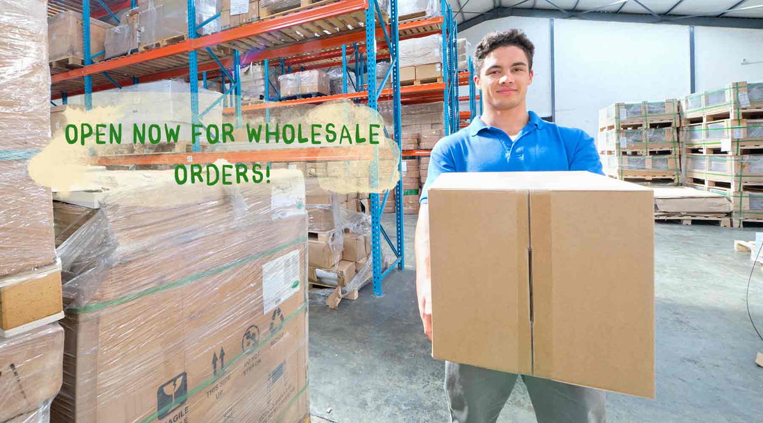 Wholesale Is Here — Created for Practitioners, Teachers & Small Shops