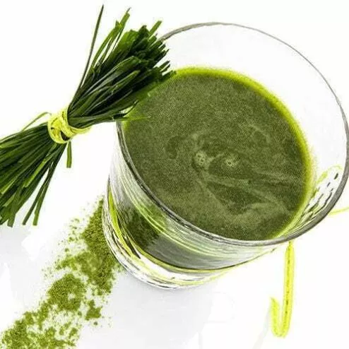 A freshly poured glass of wheatgrass and a sprig of raw whole wheatgrass on a white background.