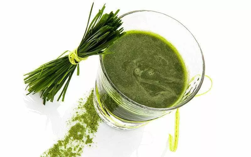A freshly poured glass of wheatgrass and a sprig of raw whole wheatgrass on a white background.