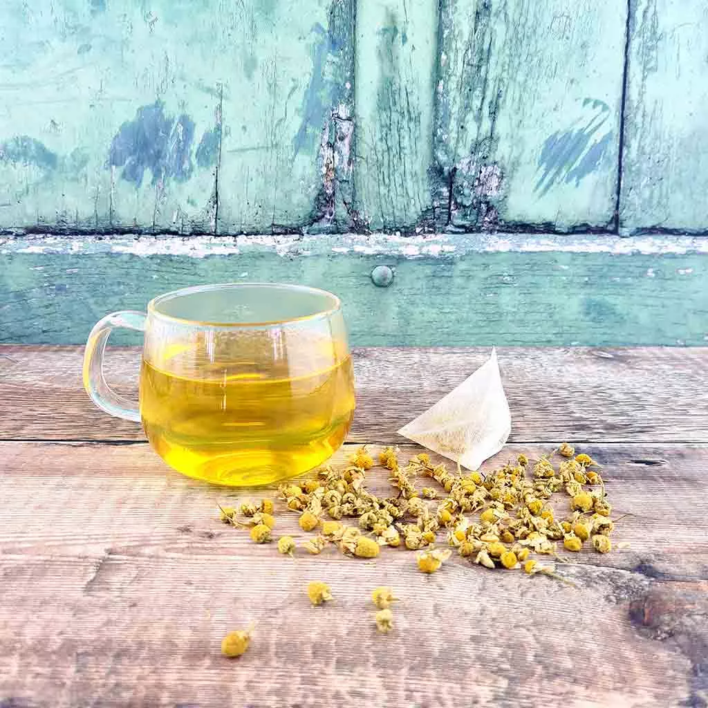 A glass cup of organic chamomile tea with a pyramid tea bag and loose chamomile flowers.