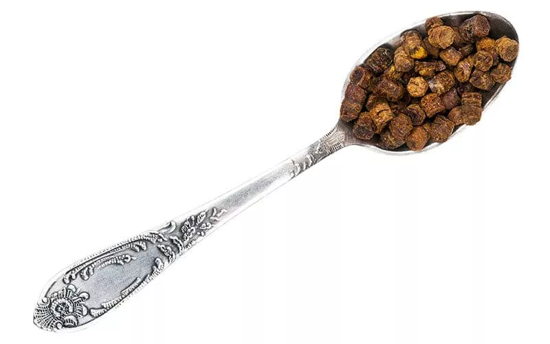 A silver spoon filled with bee bread.
