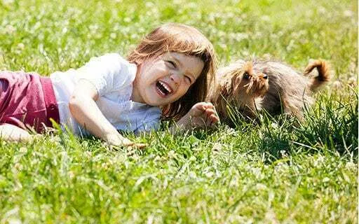 A toddler playing in long grass with a dog.